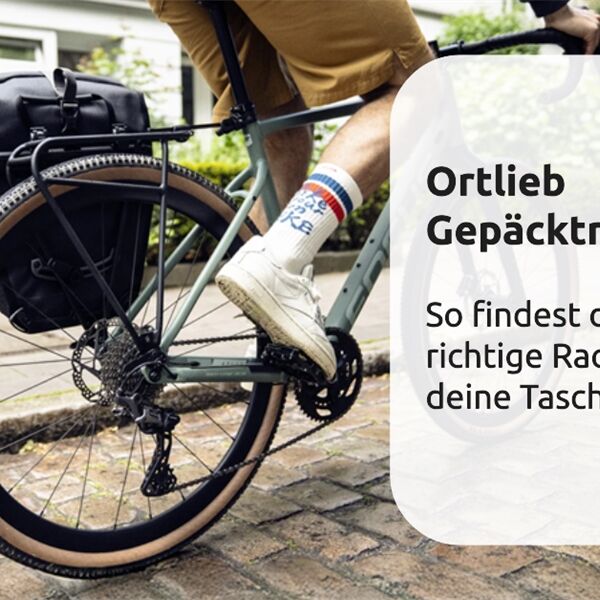 Ortlieb Gepäckträger und Taschen.png