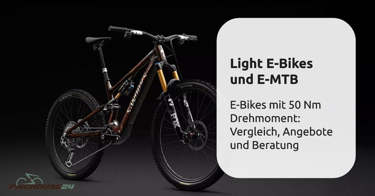 Light E-MTB Light E-Bikes Vergleich, Beratung.png
