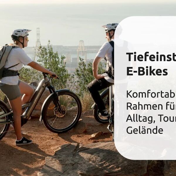 Tiefeinsteiger E-Bikes und SUV.png