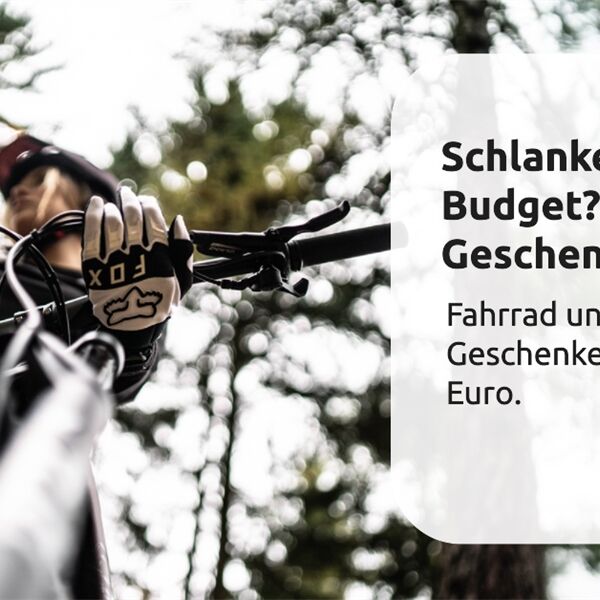 Fahrrad und E-Bike Geschenke bis 50 EUR.png
