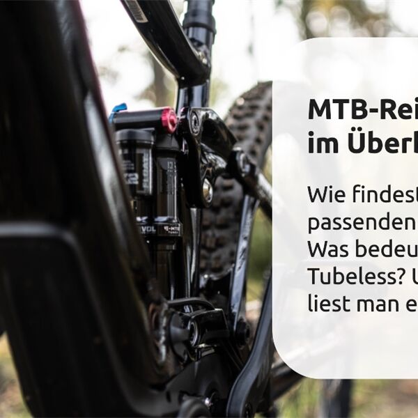 MTB-Reifen Überblick.png