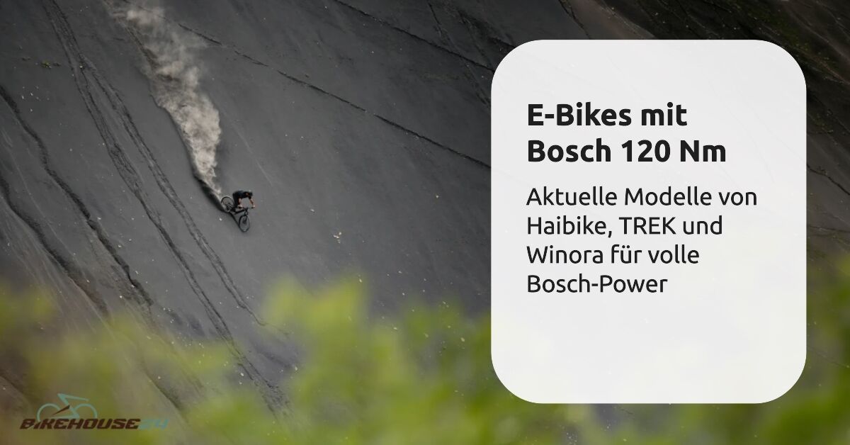 E-Bikes mit Bosch 120 Nm.png