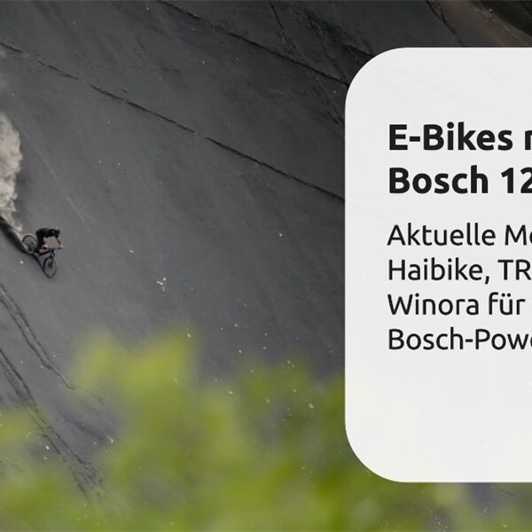 E-Bikes mit Bosch 120 Nm.png