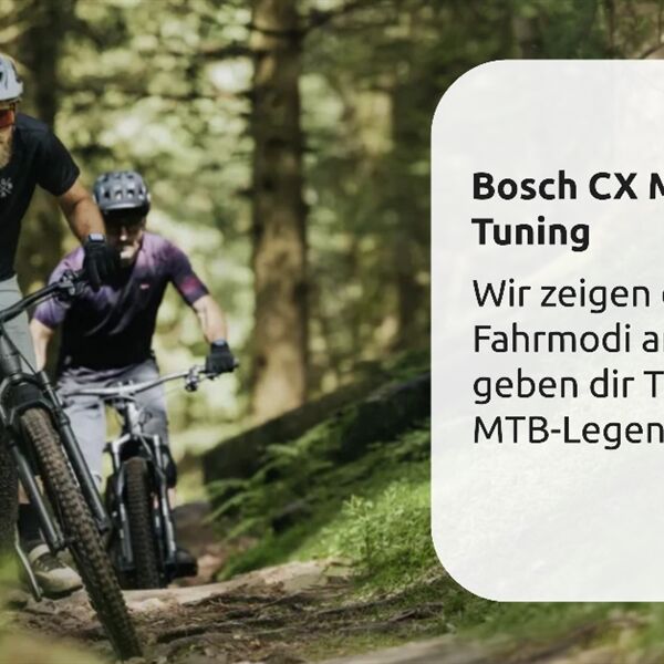 Bosch CX Motor Tuning.png