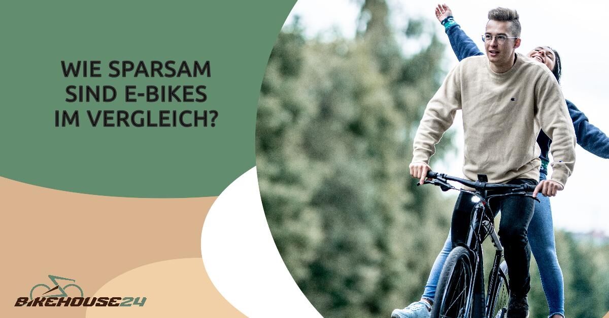 Nachhaltige E-Bikes.jpeg
