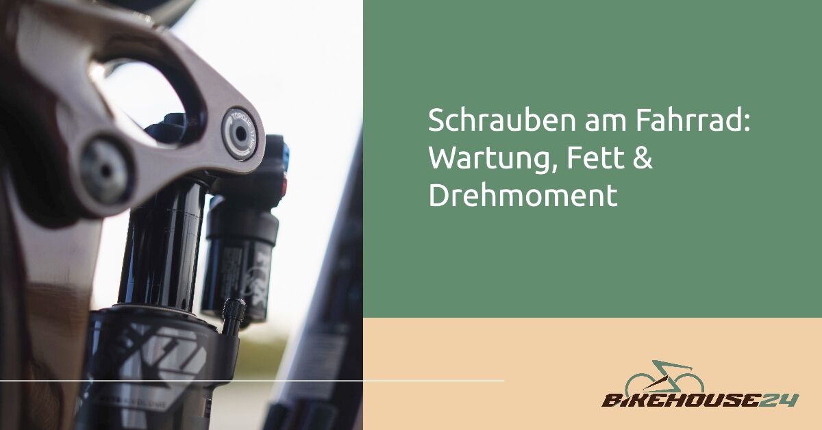 Schrauben an Fahrrad & E-Bike - Bike House Plauen Blog