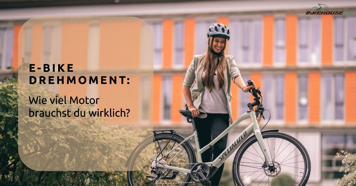 E-Bike Drehmoment Vergleich.png E-Bike Drehmoment Vergleich.png