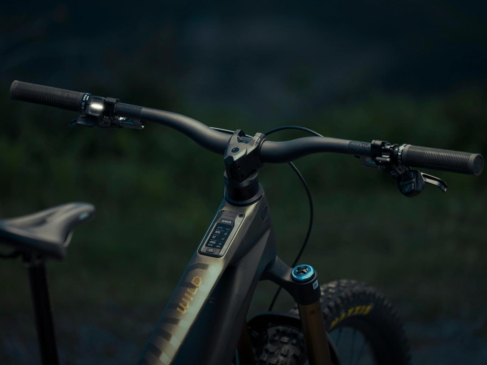 Orbea Wild mit DJI Avinox Display
