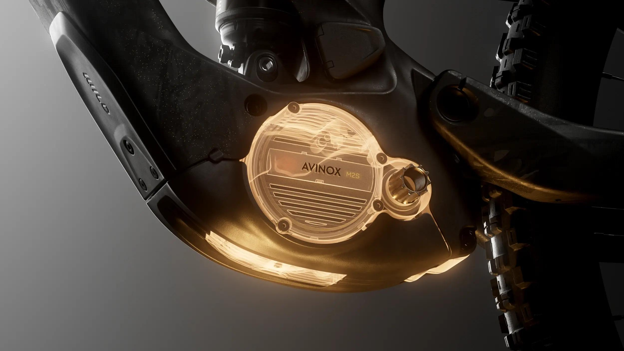 Orbea Wild LT M20 Avinox Motor